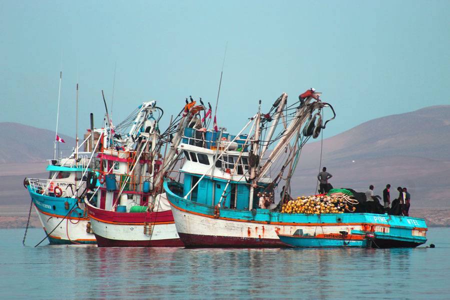 Promoviendo seguridad y formalidad en la pesca artesanal