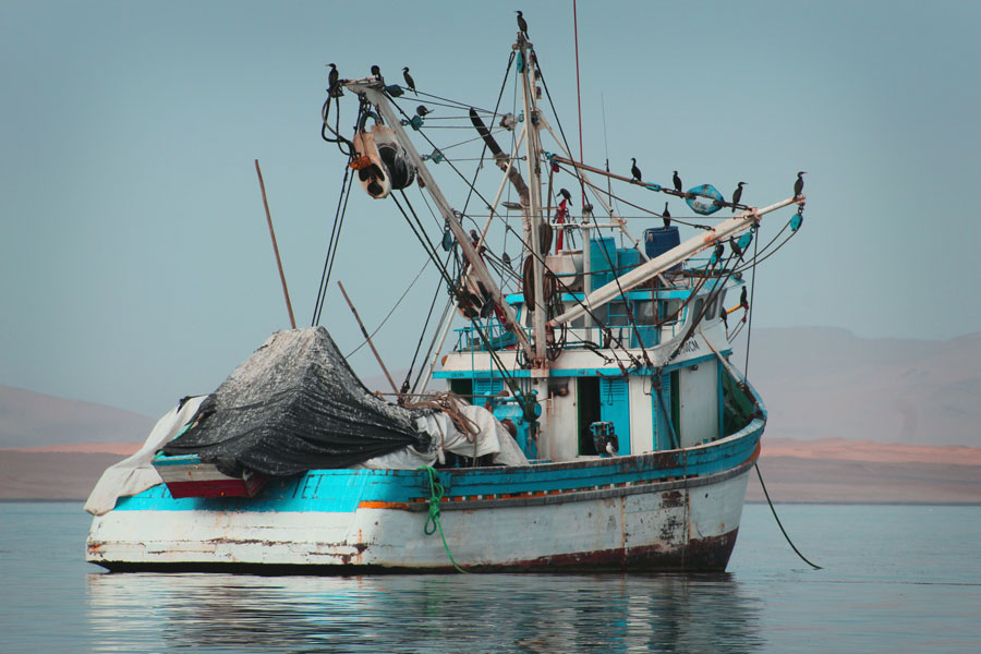 barcos de pesca