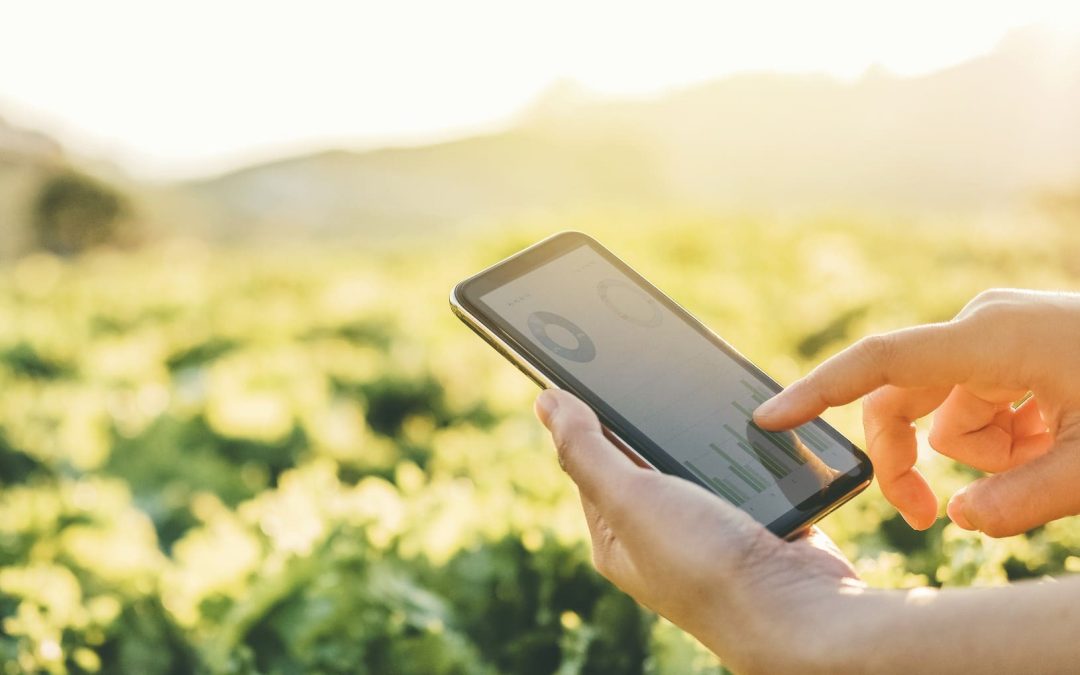 La nueva era de la agricultura en Perú: tecnología y sostenibilidad