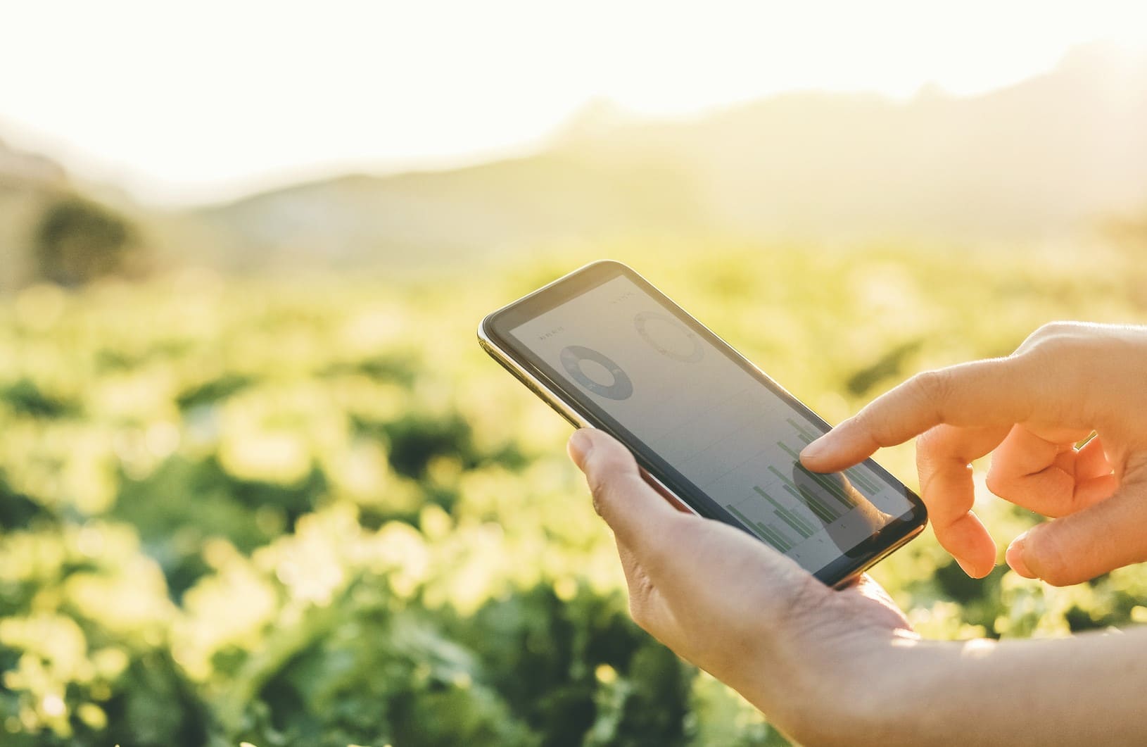 tableta-utilizada-para-la-gestion-agricola Agricultura sostenible