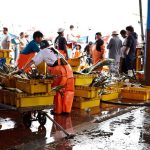 Pesca ilegal en Perú