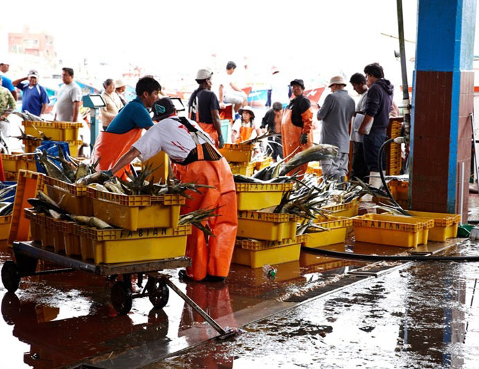 El alto precio de la pesca ilegal en Perú