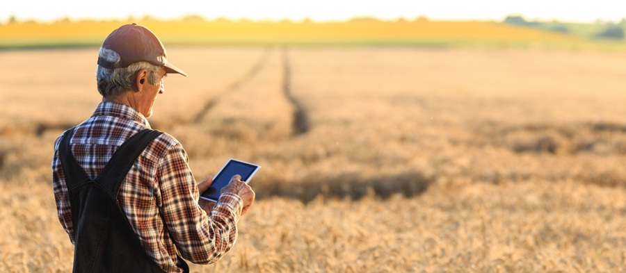 Agricultura sostenible