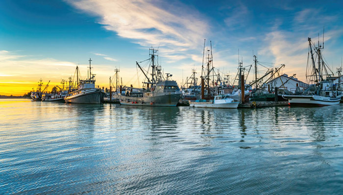 Cuando los datos de pesca iluminan la toma de decisiones en el mar